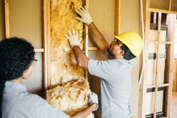 Best Fireproof Insulation  in Minneota, MN